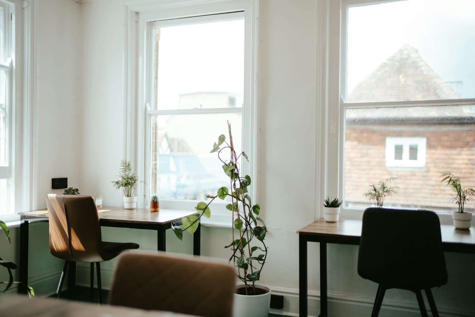 A small, sunlit room with two chairs by a window